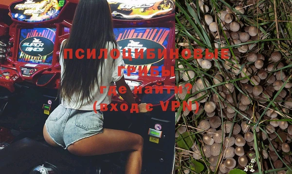 мдпв Богданович
