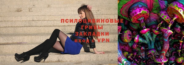 стаф Белокуриха