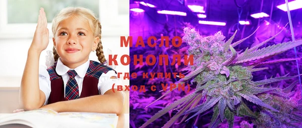 индика Слюдянка