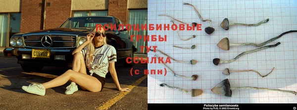 а пвп мука Беломорск