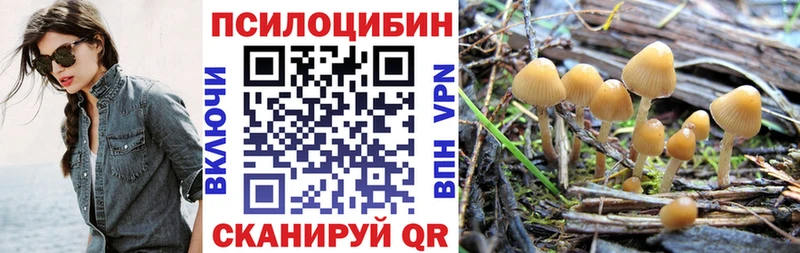 kraken рабочий сайт  Буйнакск  Псилоцибиновые грибы GOLDEN TEACHER  магазин   
