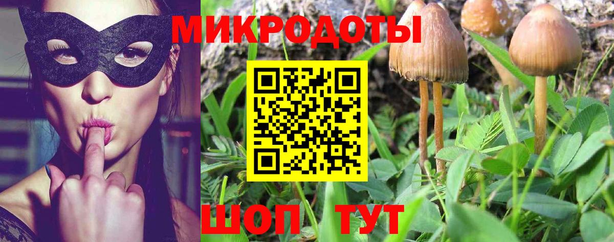 Галлюциногенные грибы Magic Shrooms  Вход с VPN  Буйнакск 